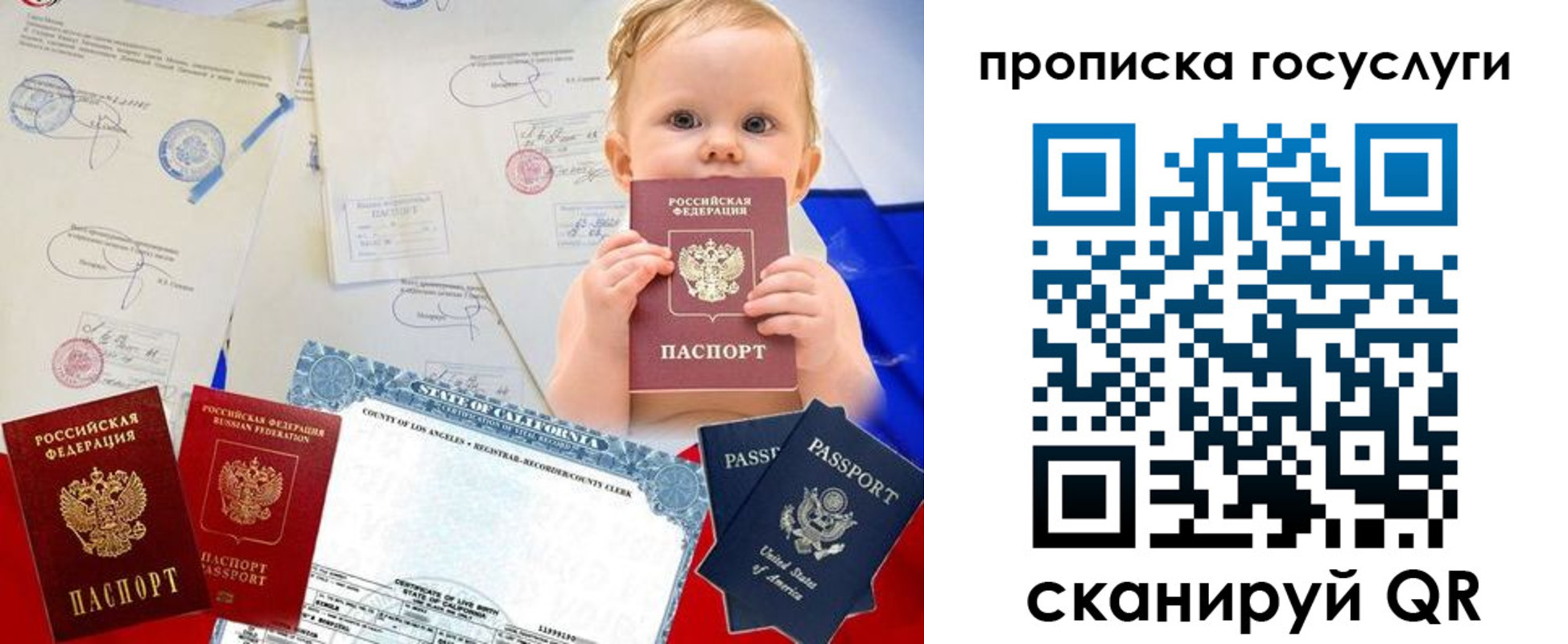 прописка поиск в Элисте